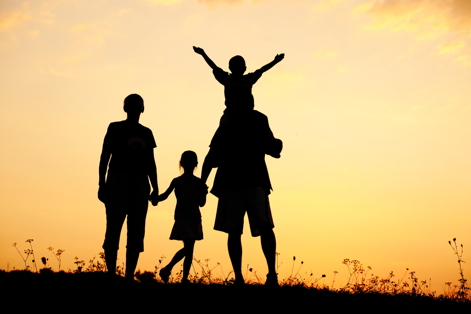 Rehab centers that accept Carelon in Georgia