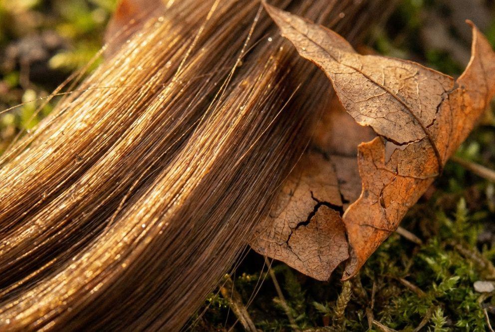 Excessive alcohol consumption and hair thinning can go hand in hand, prompting you to ask, can alcohol cause hair loss? If you notice hair healthy deteriorating, get help.