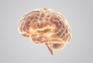 The disease model of addiction helps patients understand substance abuse and drug addiction as a brain disease that requires life-long treatment. Substance abuse treatment for withdrawal symptoms or co-occurring mental disorders are nothing to be ashamed of.