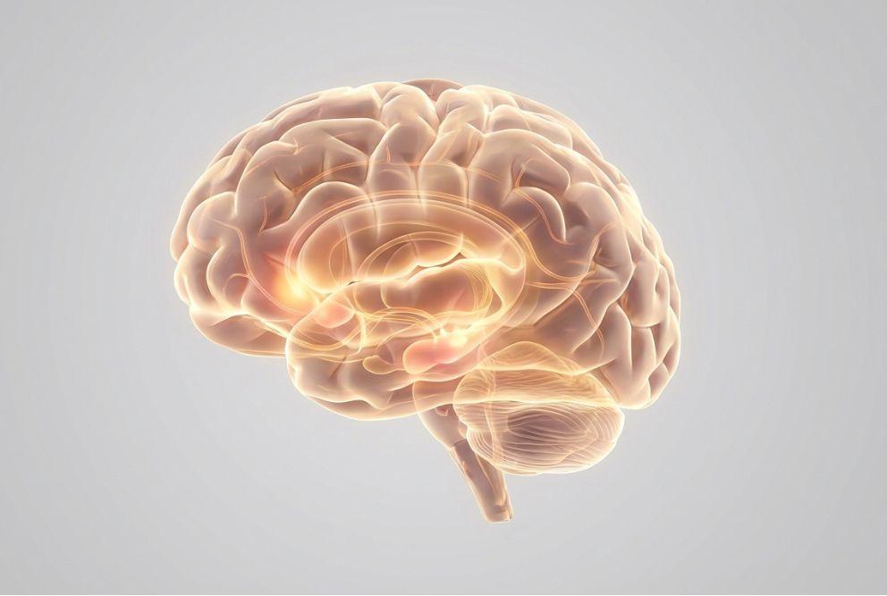 The disease model of addiction helps patients understand substance abuse and drug addiction as a brain disease that requires life-long treatment. Substance abuse treatment for withdrawal symptoms or co-occurring mental disorders are nothing to be ashamed of.