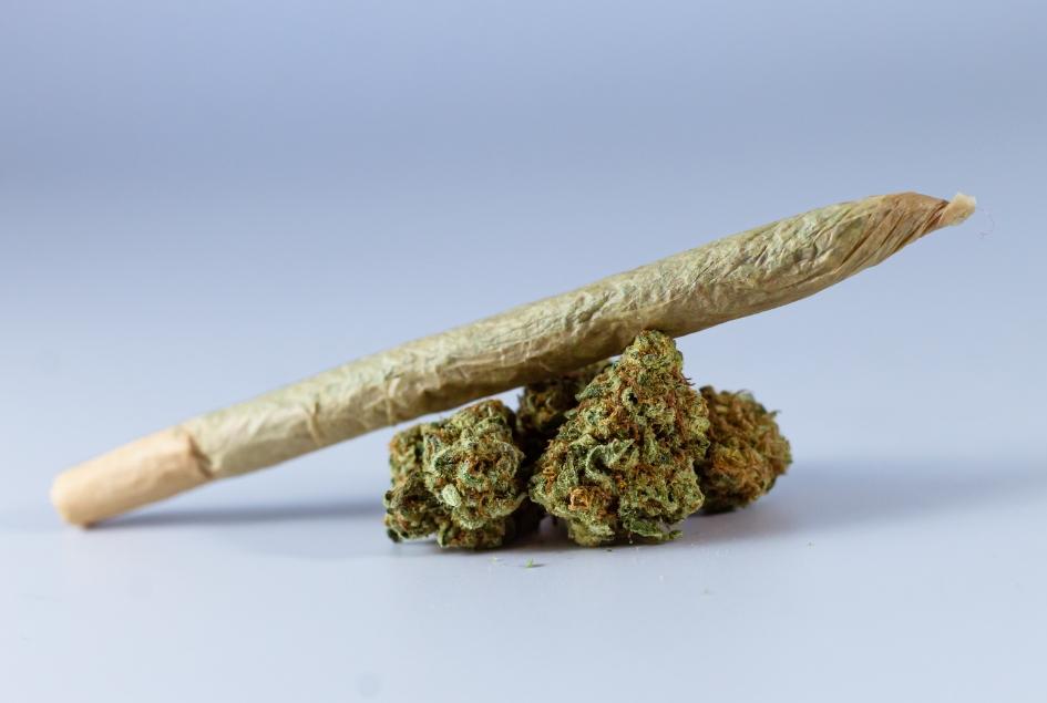 can you smoke marijuana on probation